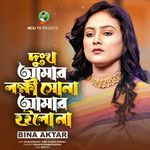 Dukkh Amar Lokkhi Sona Amar Hoilo Na