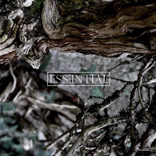 Udda Avvikelser cover art