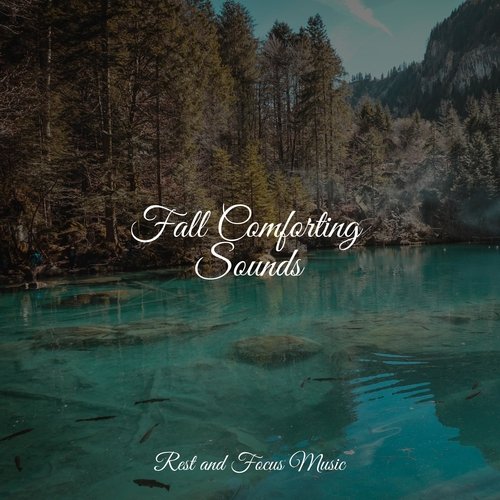 Fall Comforting Sounds_poster_image