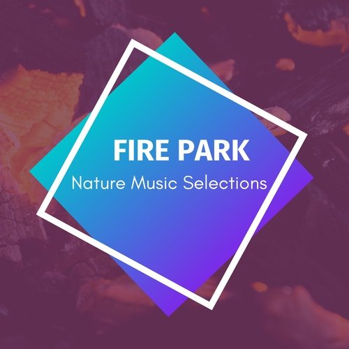 Beautiful Firework cover art