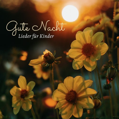 Gute Nacht Lieder für Kinder