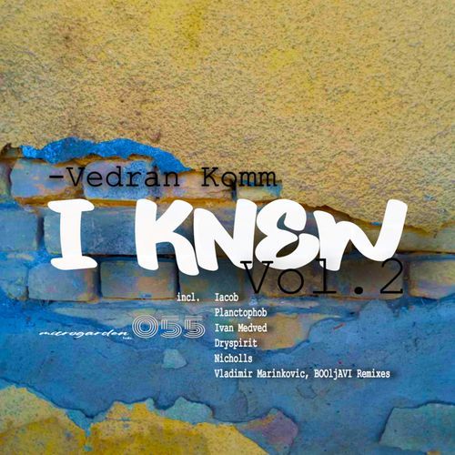 I Knew (Vladimir Marinkovic, BOOLjAVI Dub n Ground Remix) cover art