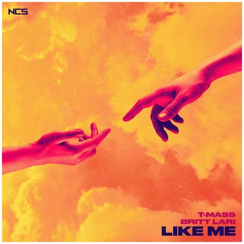 Like Me_poster_image