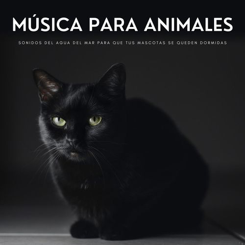 Mascotas Tranquilas cover art
