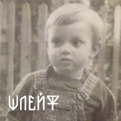 Шлейф