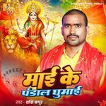 Mai Ke Pandal Ghumai