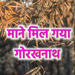 Mane mil gya gorakhnath raja bharatri