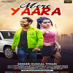 Mere Yara DME (Hindi)