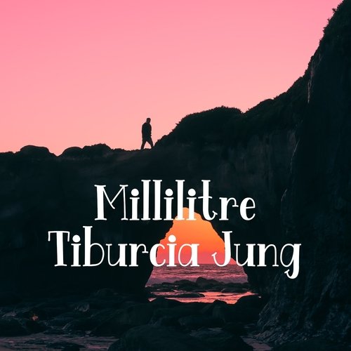 Nishant cover art