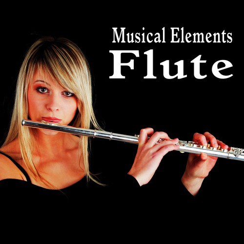 Funny Flute Accent - Song Download from Musical Elements – Flute Sound  Effects @ JioSaavn