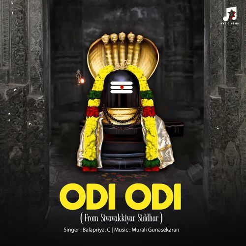 Odi Odi (From "Sivavakkiyar Siddhar")