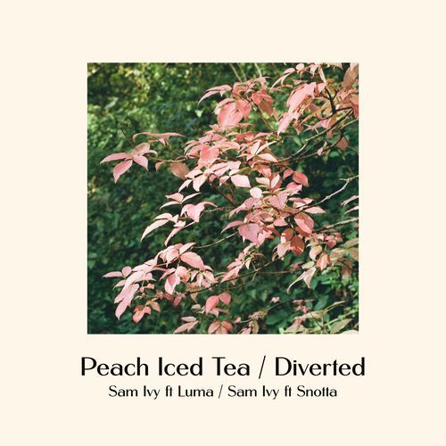 Diverted cover art