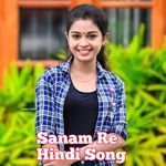 Sanam Re Hindi Song