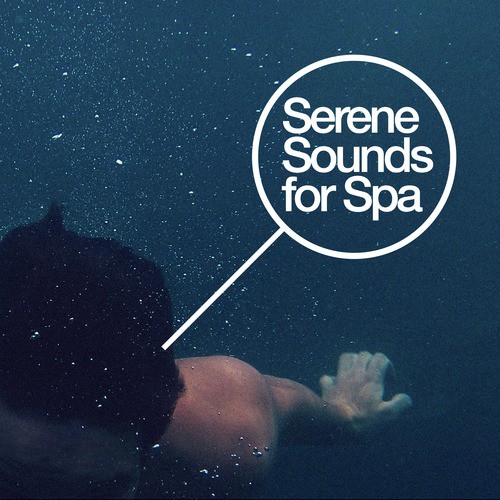 Serene Sounds for Spa_poster_image