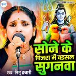 Sone Ke Pinjarwa Me Baisal Sugnwa