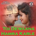 Toi Dewaana Hamra Karle