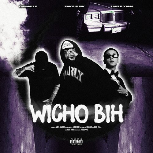 WICHO BIH_poster_image