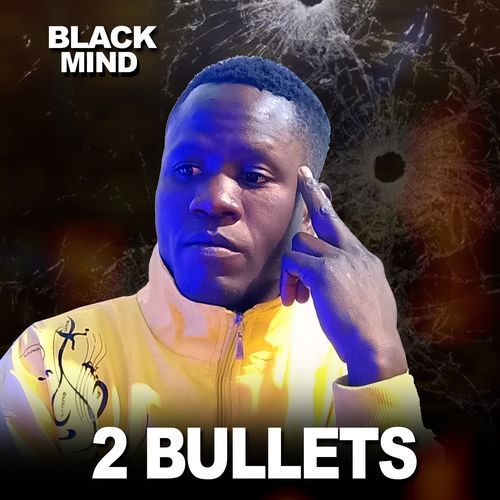 2 Bullets_poster_image