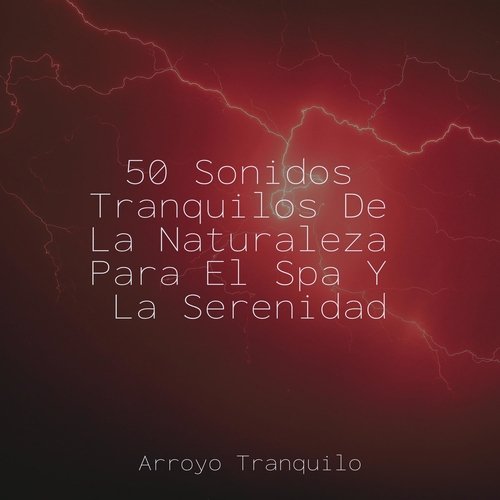 50 Sonidos Tranquilos De La Naturaleza Para El Spa Y La Serenidad