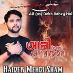 Ali (as) Dekh Rahey Hai