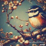 Aves