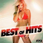 Best Of Hits Vol. 73