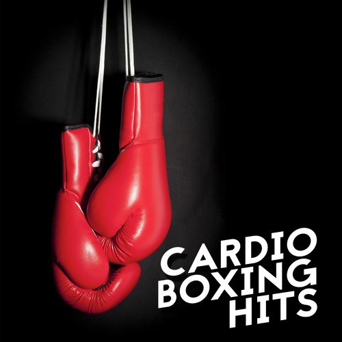 Cardio Boxing Hits