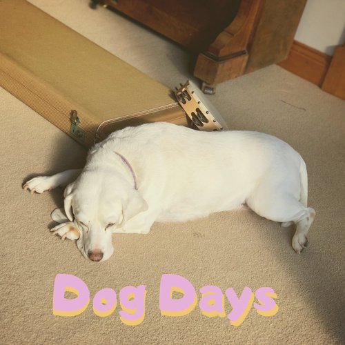Dog Days cover art