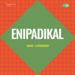 Enipadikal