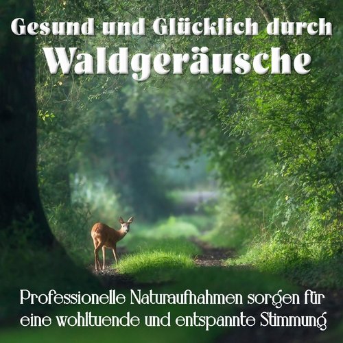 Waldrand an einem sonnigen Nachmittag cover art