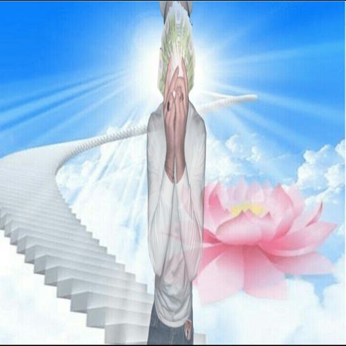 Supermarkt cover art