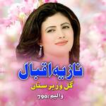 Gul Waziristan, Vol. 790