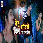 Kehu Aur Se Dil Na Lagaiha
