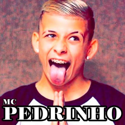 Mc Pedrinho_poster_image