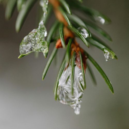 Melting