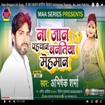 Na jaan na pahchan banatiya mehman