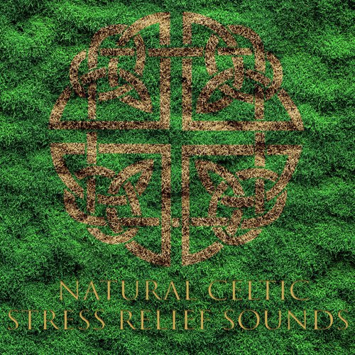 Life in Harmony cover art