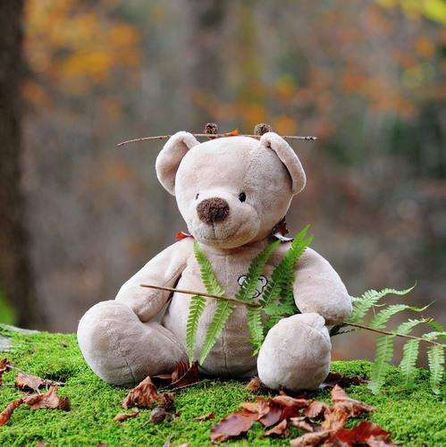 Nature Sounds for Baby - Easy Sleep Music, Relaxation & Meditation