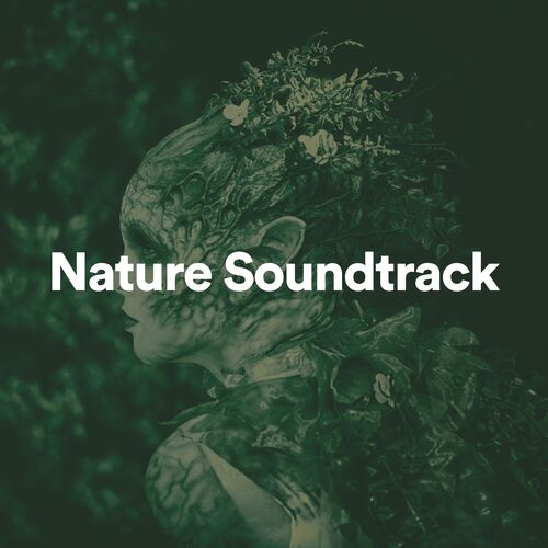 Nature Soundtrack_poster_image