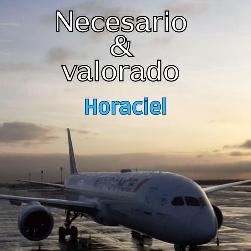 Necesario & valorado cover art