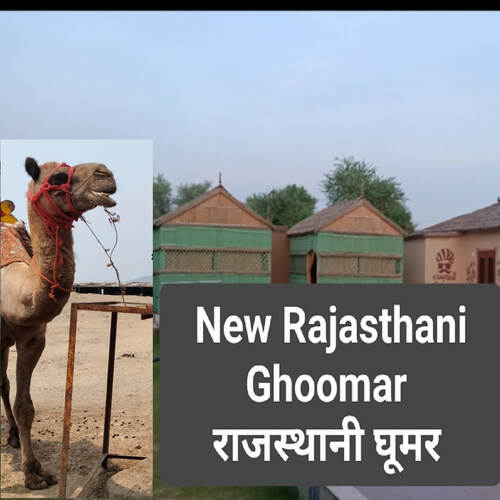 New Rajasthani Ghoomar