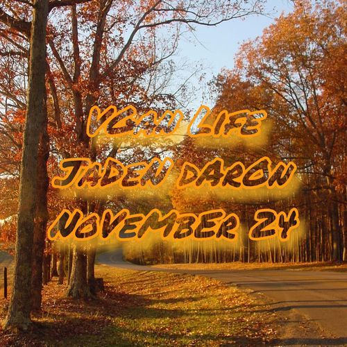 Jaden’s cover art