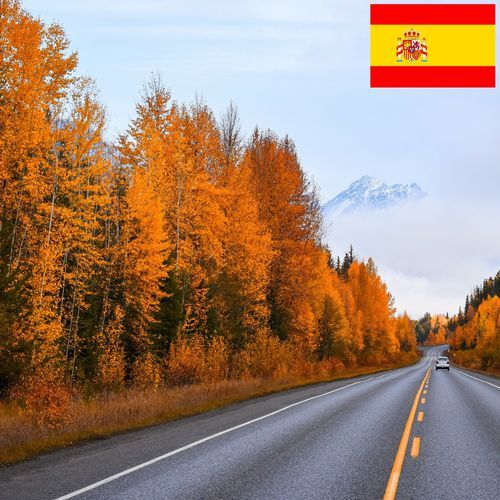 Pájaros del Bosque al Final del Verano cerca de una Carretera