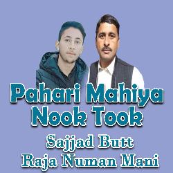 Pahari Mahiya Nook Took-FCs8RBhVfXk