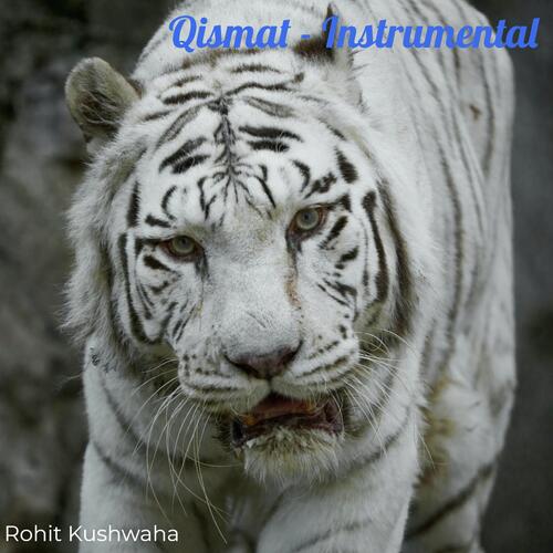 Qismat (Instrumental)