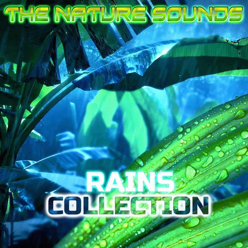 Rains Collection (feat. Nature Sound, Rain Unlimited, Weather Forecast, Nature Essentials, Ocean Library & Rain In The Ocean)_poster_image