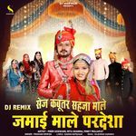 Sej Kabutar Sahja Male Jamai Male Pardesha DJ Remix