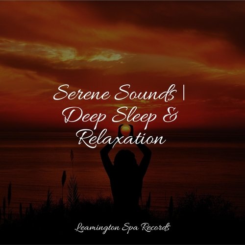 Serene Sounds | Deep Sleep & Relaxation
