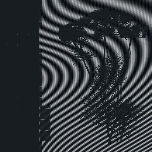 Shadow Boundary (with Mavron Cohort)