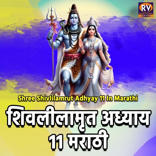 Shree Shivlilamrut Adhyay 11 in Marathi